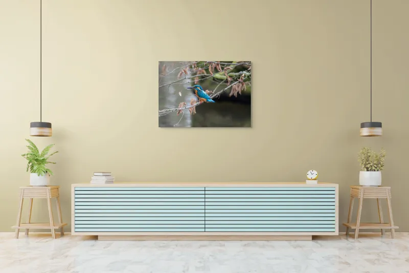 Tablou Canvas, "Pescăraș albastru pe ramură toamna", Păsăre, Ramură, Pene, Albastre, Toamnă, Natură, Tăcut, Fin, Elegant, Observant., 100 x 70 cm – poza 4