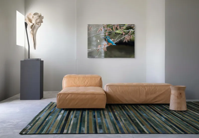 Tablou Canvas, "Pescăraș albastru pe ramură toamna", Păsăre, Ramură, Pene, Albastre, Toamnă, Natură, Tăcut, Fin, Elegant, Observant., 100 x 70 cm – poza 7