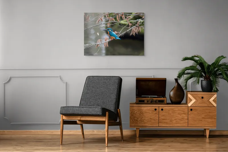 Tablou Canvas, "Pescăraș albastru pe ramură toamna", Păsăre, Ramură, Pene, Albastre, Toamnă, Natură, Tăcut, Fin, Elegant, Observant., 100 x 70 cm – poza 8