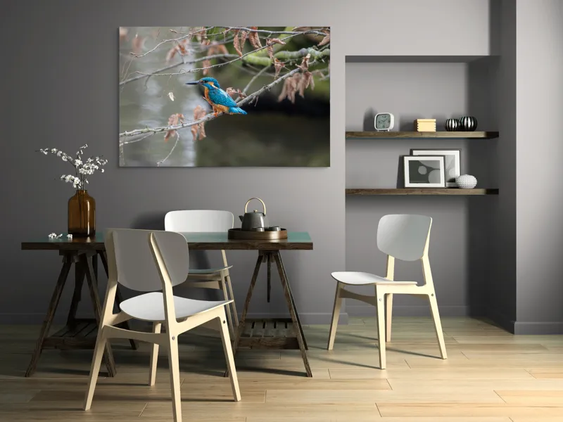 Tablou Canvas, "Pescăraș albastru pe ramură toamna", Păsăre, Ramură, Pene, Albastre, Toamnă, Natură, Tăcut, Fin, Elegant, Observant., 150 x 100 cm – poza 5