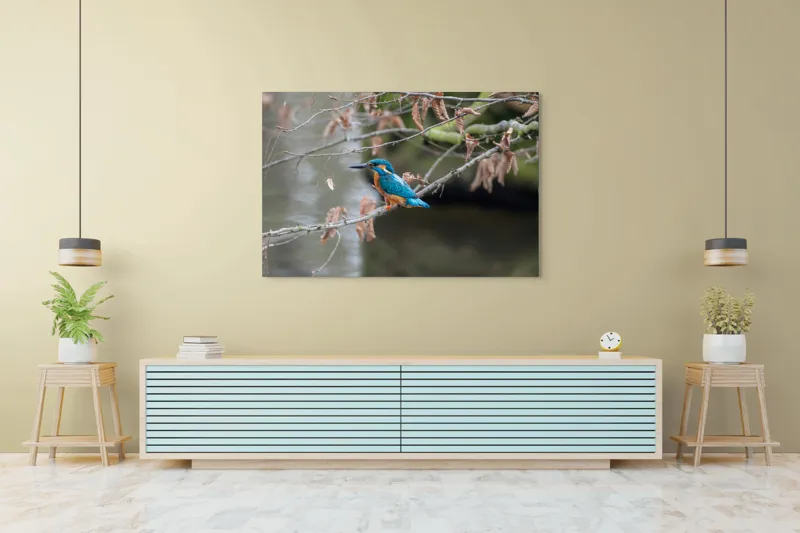 Tablou Canvas, "Pescăraș albastru pe ramură toamna", Păsăre, Ramură, Pene, Albastre, Toamnă, Natură, Tăcut, Fin, Elegant, Observant., 150 x 100 cm – poza 6