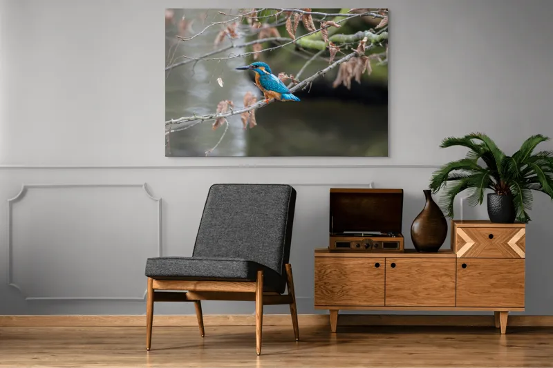 Tablou Canvas, "Pescăraș albastru pe ramură toamna", Păsăre, Ramură, Pene, Albastre, Toamnă, Natură, Tăcut, Fin, Elegant, Observant., 150 x 100 cm – poza 8
