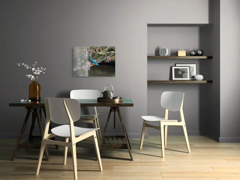 Tablou Canvas, "Pescăraș albastru pe ramură toamna", Păsăre, Ramură, Pene, Albastre, Toamnă, Natură, Tăcut, Fin, Elegant, Observant., 70 x 50 cm – poza 5