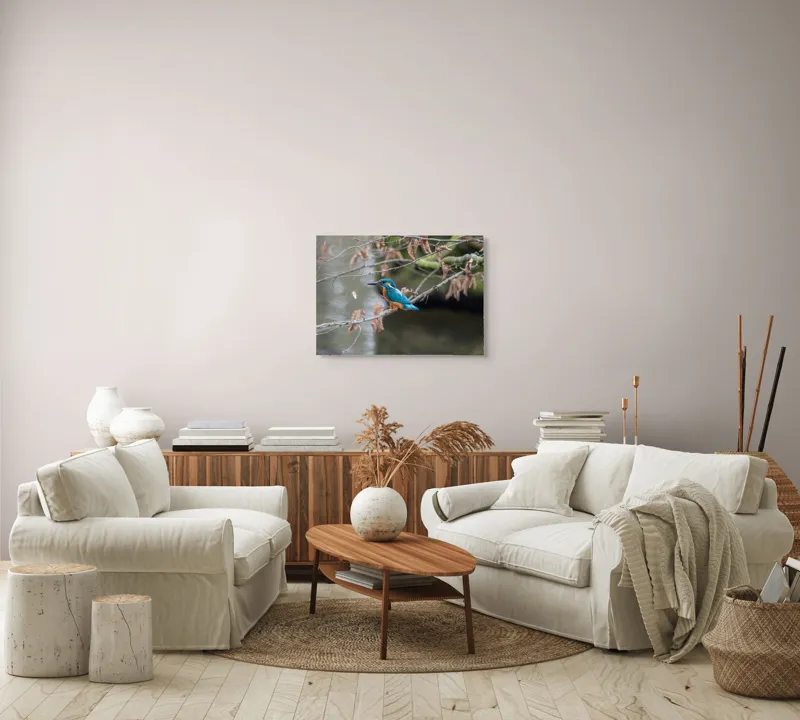 Tablou Canvas, "Pescăraș albastru pe ramură toamna", Păsăre, Ramură, Pene, Albastre, Toamnă, Natură, Tăcut, Fin, Elegant, Observant., 70 x 50 cm – poza 6