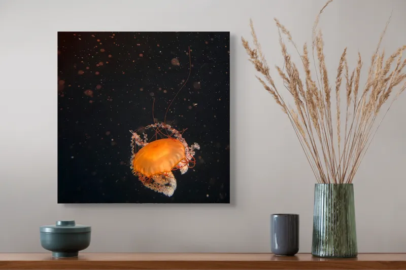 Tablou Canvas, "Meduză dansând în adâncuri misterioase", Meduză, Lumină, Ocean, Mister, Frumusețe, Grație, Plutire, 50 x 50 cm – poza 4