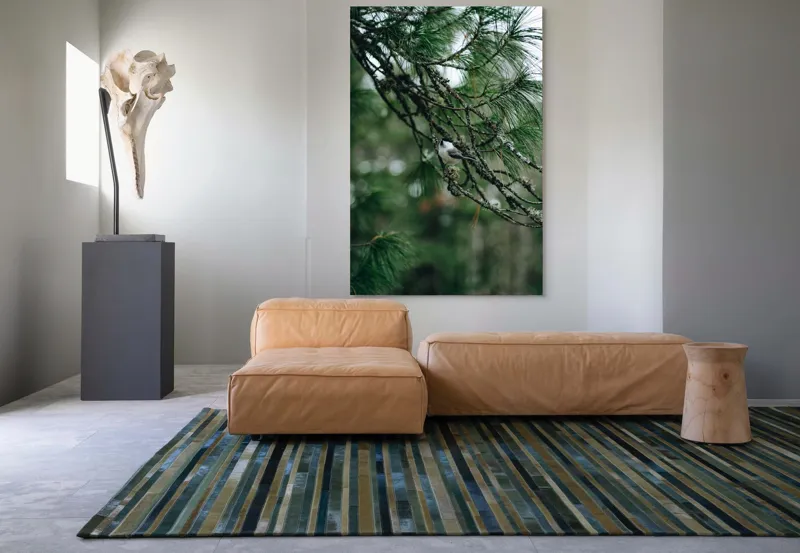Tablou Canvas, "Pasărea ascunsă printre ramuri verzi", Pasăre, Ramură, Frunze, Verde, Natură, Pădure, Pini, Liniște, Calm, Echilibru, 100 x 150 cm – poza 7