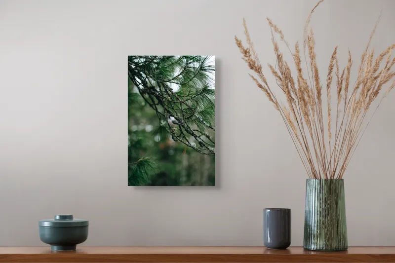 Tablou Canvas, "Pasărea ascunsă printre ramuri verzi", Pasăre, Ramură, Frunze, Verde, Natură, Pădure, Pini, Liniște, Calm, Echilibru, 26 x 39 cm – poza 5