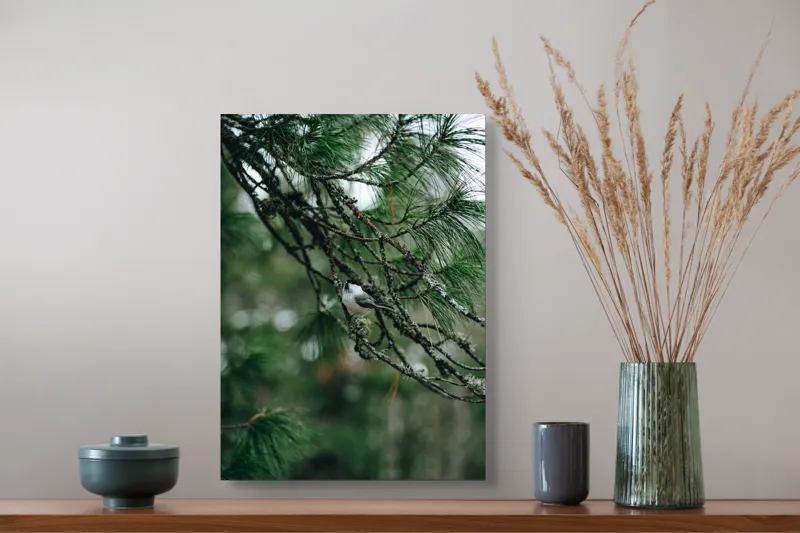 Tablou Canvas, "Pasărea ascunsă printre ramuri verzi", Pasăre, Ramură, Frunze, Verde, Natură, Pădure, Pini, Liniște, Calm, Echilibru, 39 x 54 cm – poza 3