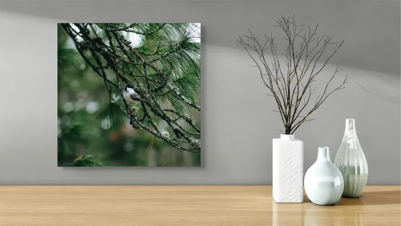 Tablou Canvas, "Pasărea ascunsă printre ramuri verzi", Pasăre, Ramură, Frunze, Verde, Natură, Pădure, Pini, Liniște, Calm, Echilibru, 50 x 50 cm – poza 3