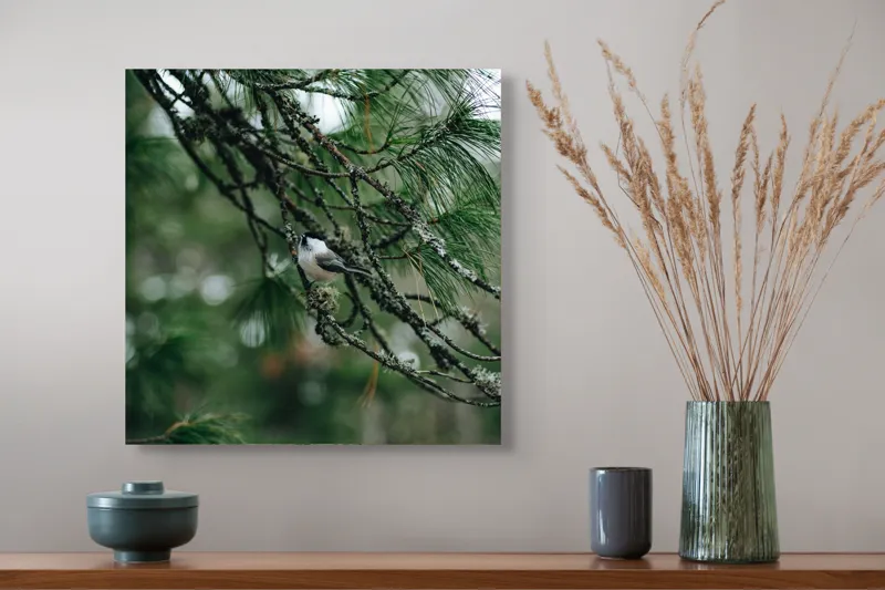 Tablou Canvas, "Pasărea ascunsă printre ramuri verzi", Pasăre, Ramură, Frunze, Verde, Natură, Pădure, Pini, Liniște, Calm, Echilibru, 50 x 50 cm – poza 4