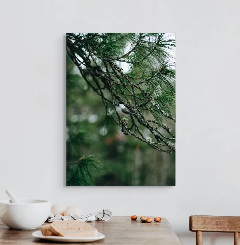 Tablou Canvas, "Pasărea ascunsă printre ramuri verzi", Pasăre, Ramură, Frunze, Verde, Natură, Pădure, Pini, Liniște, Calm, Echilibru, 50 x 70 cm – poza 3