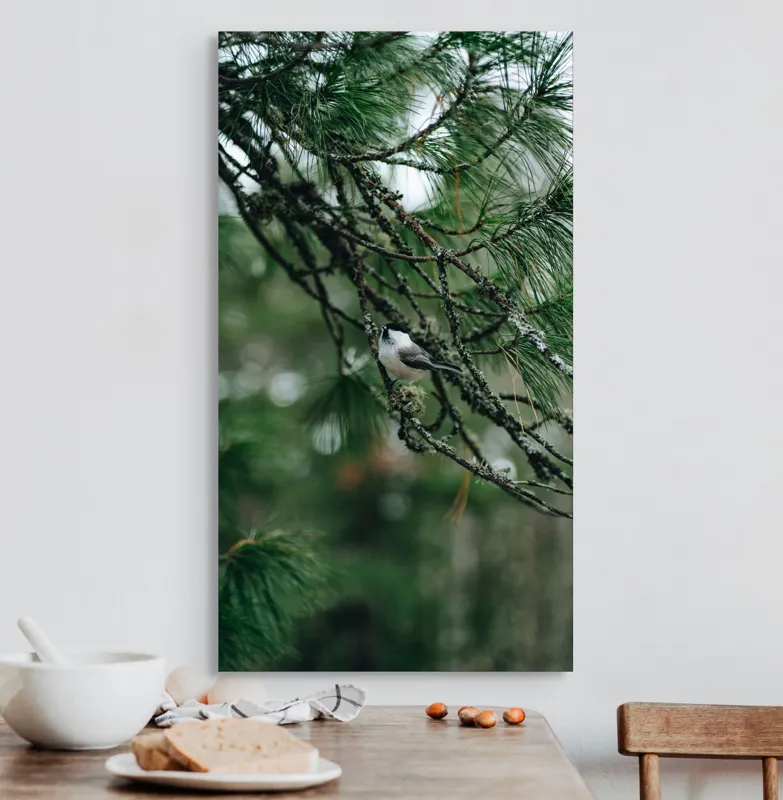 Tablou Canvas, "Pasărea ascunsă printre ramuri verzi", Pasăre, Ramură, Frunze, Verde, Natură, Pădure, Pini, Liniște, Calm, Echilibru, 50 x 90 cm – poza 3