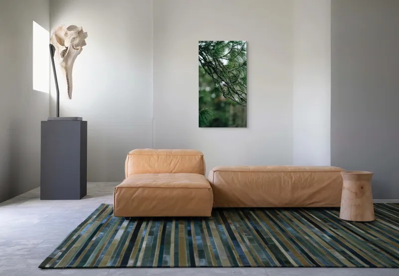 Tablou Canvas, "Pasărea ascunsă printre ramuri verzi", Pasăre, Ramură, Frunze, Verde, Natură, Pădure, Pini, Liniște, Calm, Echilibru, 50 x 90 cm – poza 5