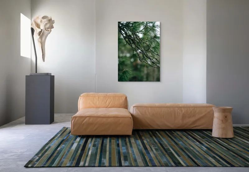 Tablou Canvas, "Pasărea ascunsă printre ramuri verzi", Pasăre, Ramură, Frunze, Verde, Natură, Pădure, Pini, Liniște, Calm, Echilibru, 70 x 100 cm – poza 7