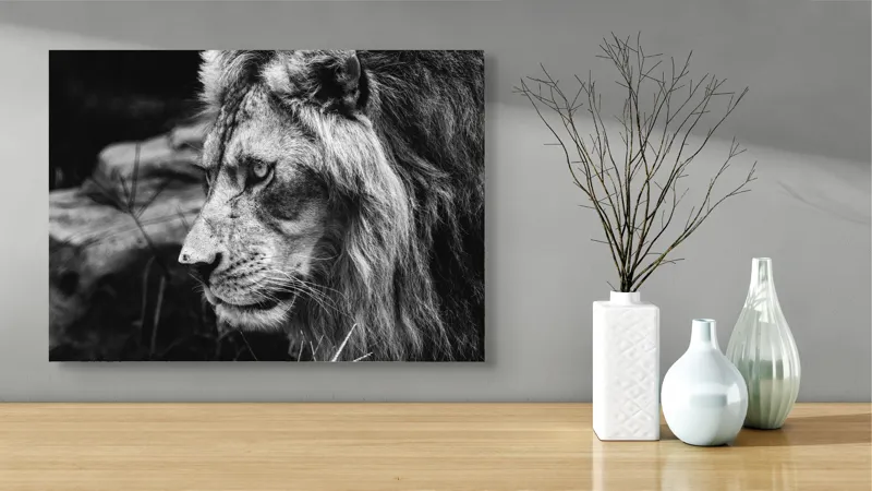 Tablou Canvas, "Regele savanei în contemplație tăcută", Leu, Putere, Mândrie, Regal, Tărie, Natură, Sălbăticie, Viziune, 70 x 50 cm – poza 3