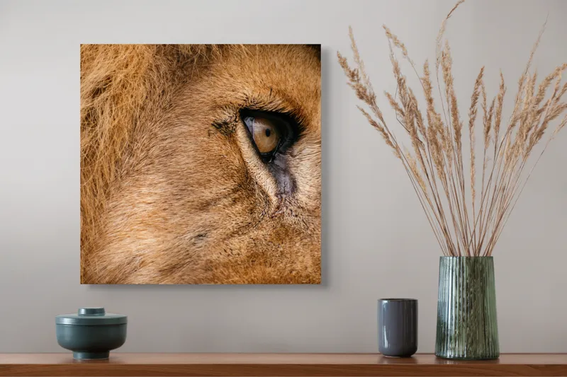 Tablou Canvas, "Privirea enigmatică a leului regal", Fierce, Majestic, Intense, Powerful, Wild, Focused, 50 x 50 cm – poza 4