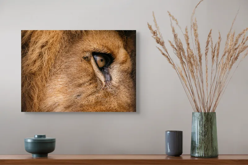 Tablou Canvas, "Privirea enigmatică a leului regal", Fierce, Majestic, Intense, Powerful, Wild, Focused, 54 x 39 cm – poza 4