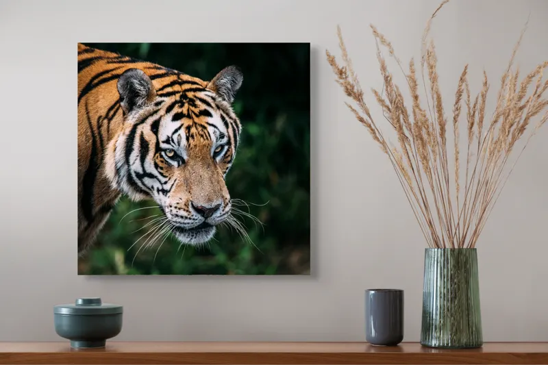 Tablou Canvas, "Tigrul în umbra junglei verzi", Tigru, Privire, Pădure, Puternic, Feline, Blană, Verde, Misterios, 50 x 50 cm – poza 4