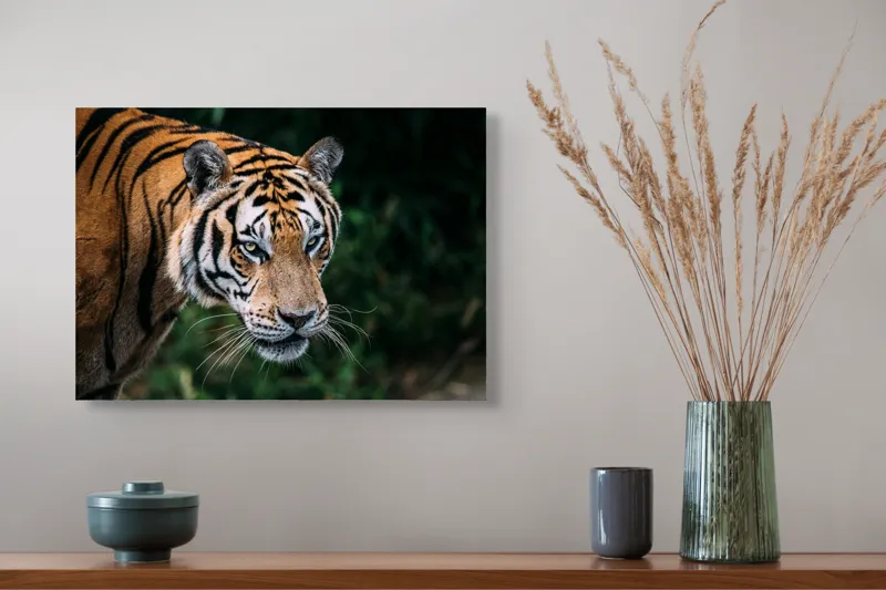 Tablou Canvas, "Tigrul în umbra junglei verzi", Tigru, Privire, Pădure, Puternic, Feline, Blană, Verde, Misterios, 54 x 39 cm – poza 4