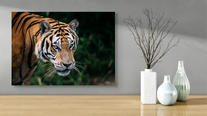 Tablou Canvas, "Tigrul în umbra junglei verzi", Tigru, Privire, Pădure, Puternic, Feline, Blană, Verde, Misterios, 70 x 50 cm – poza 3