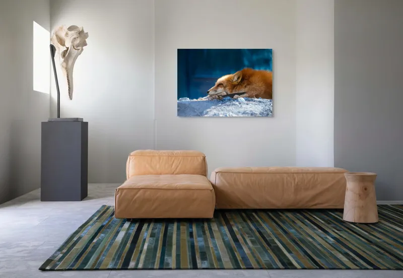 Tablou Canvas, "Vulpea dormind sub cerul albastru", Vulpe, Adormită, Blană, Roșcată, Pământ, Liniște, Peisaj, Odihnă, Natură, Serenitate, 100 x 70 cm – poza 7