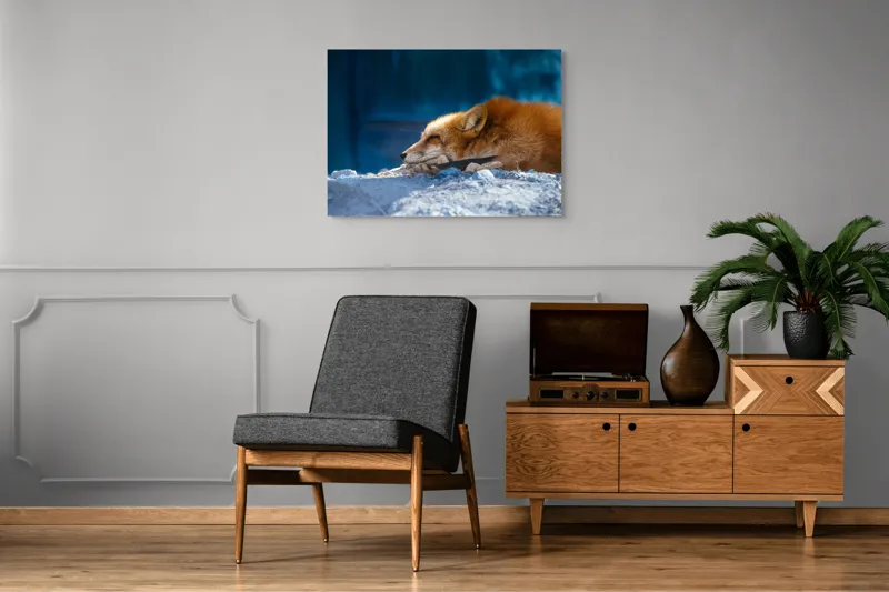 Tablou Canvas, "Vulpea dormind sub cerul albastru", Vulpe, Adormită, Blană, Roșcată, Pământ, Liniște, Peisaj, Odihnă, Natură, Serenitate, 100 x 70 cm – poza 8