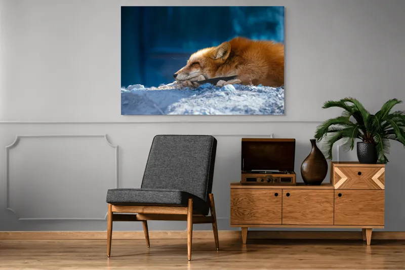 Tablou Canvas, "Vulpea dormind sub cerul albastru", Vulpe, Adormită, Blană, Roșcată, Pământ, Liniște, Peisaj, Odihnă, Natură, Serenitate, 150 x 100 cm – poza 8