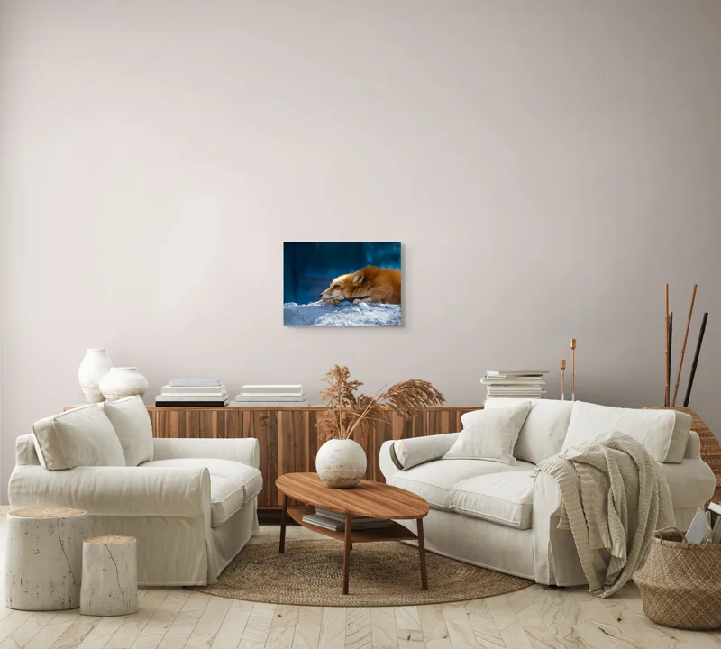 Tablou Canvas, "Vulpea dormind sub cerul albastru", Vulpe, Adormită, Blană, Roșcată, Pământ, Liniște, Peisaj, Odihnă, Natură, Serenitate, 54 x 39 cm – poza 5