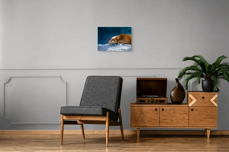 Tablou Canvas, "Vulpea dormind sub cerul albastru", Vulpe, Adormită, Blană, Roșcată, Pământ, Liniște, Peisaj, Odihnă, Natură, Serenitate, 54 x 39 cm – poza 7