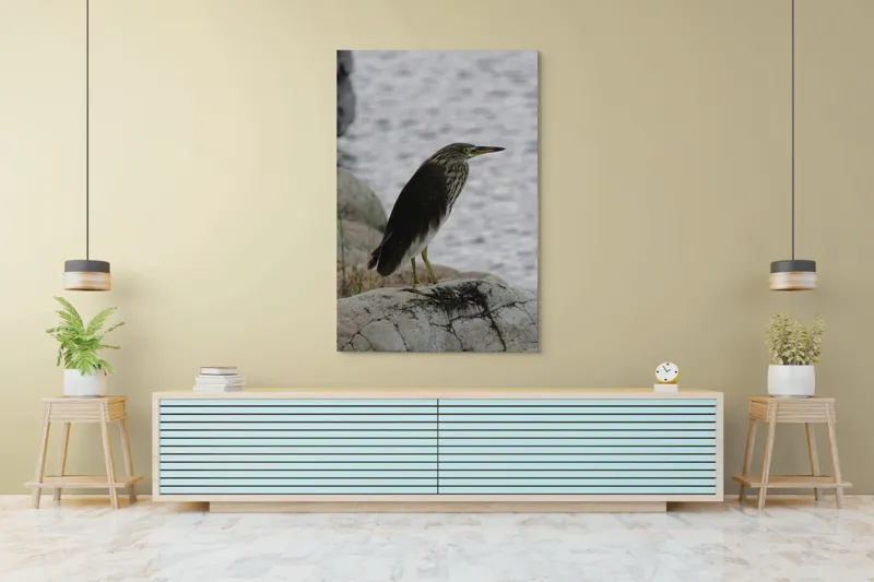 Tablou Canvas, "Pasărea contemplativă pe malul apei", Elegant, Observator, Singuratic, Pene, Apă, Stânci, Vigilent, Natură, Fragil, Sălbatic., 100 x 150 cm – poza 4
