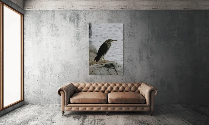 Tablou Canvas, "Pasărea contemplativă pe malul apei", Elegant, Observator, Singuratic, Pene, Apă, Stânci, Vigilent, Natură, Fragil, Sălbatic., 100 x 150 cm – poza 6