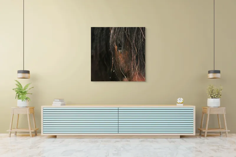Tablou Canvas, "Privirea enigmatică a calului păduratic", Cal, Ochi, Frumusețe, Mister, Natură, 100 x 100 cm – poza 5