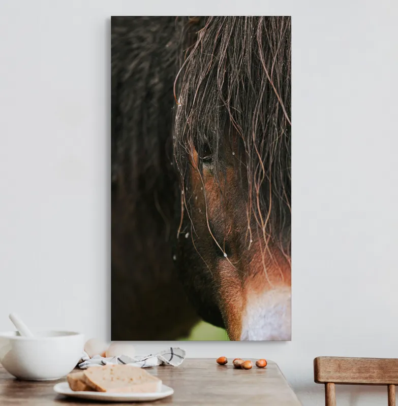 Tablou Canvas, "Privirea enigmatică a calului păduratic", Cal, Ochi, Frumusețe, Mister, Natură, 50 x 90 cm – poza 3