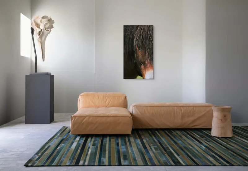 Tablou Canvas, "Privirea enigmatică a calului păduratic", Cal, Ochi, Frumusețe, Mister, Natură, 50 x 90 cm – poza 5