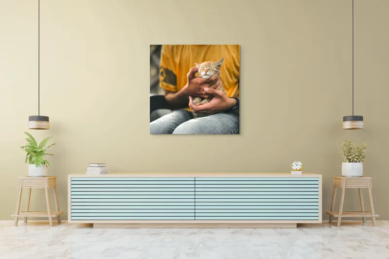 Tablou Canvas, "Pisoi torcând în brațe ocrotitoare", Pisoi, Alintat, Relaxat, Adorabil, Portocaliu, Mângâiere, Liniște, Blândete, 100 x 100 cm – poza 5