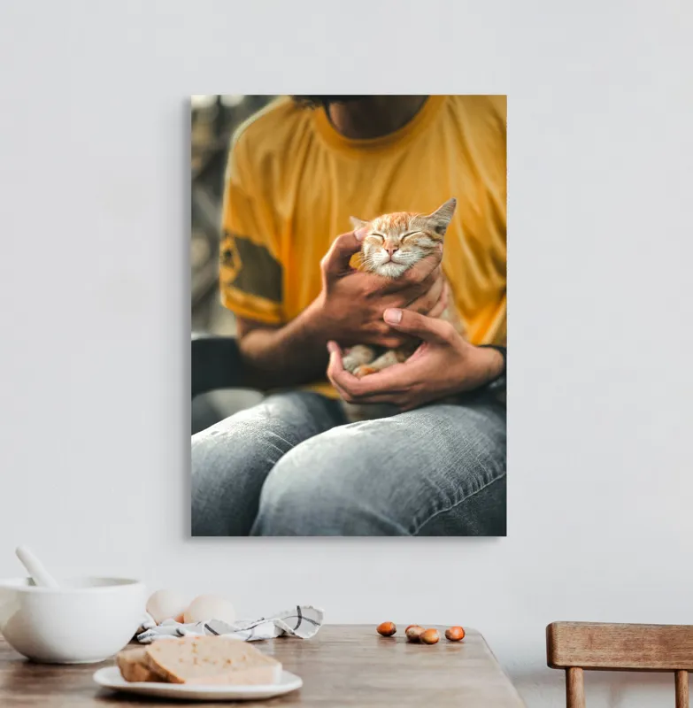 Tablou Canvas, "Pisoi torcând în brațe ocrotitoare", Pisoi, Alintat, Relaxat, Adorabil, Portocaliu, Mângâiere, Liniște, Blândete, 50 x 70 cm – poza 3