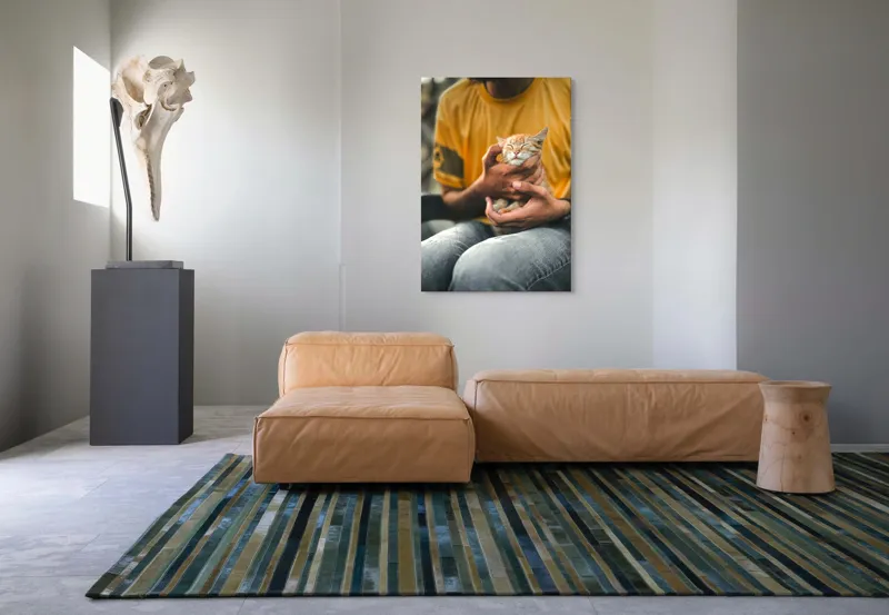 Tablou Canvas, "Pisoi torcând în brațe ocrotitoare", Pisoi, Alintat, Relaxat, Adorabil, Portocaliu, Mângâiere, Liniște, Blândete, 70 x 100 cm – poza 7