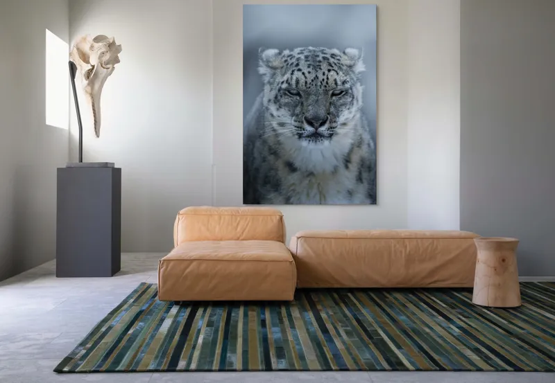 Tablou Canvas, Mister, Eleganță, Forță, Seninătate, Contrast, Natură, Regalistate, Frumusețe, Calm, Privire., 100 x 150 cm – poza 7