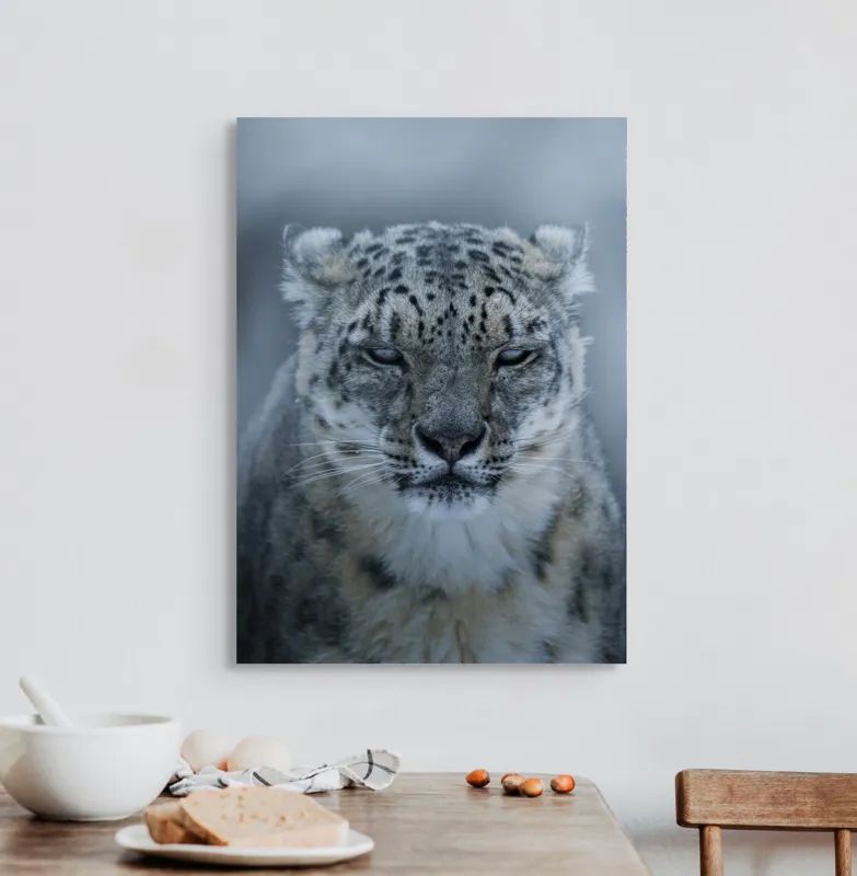 Tablou Canvas, Mister, Eleganță, Forță, Seninătate, Contrast, Natură, Regalistate, Frumusețe, Calm, Privire., 50 x 70 cm – poza 3