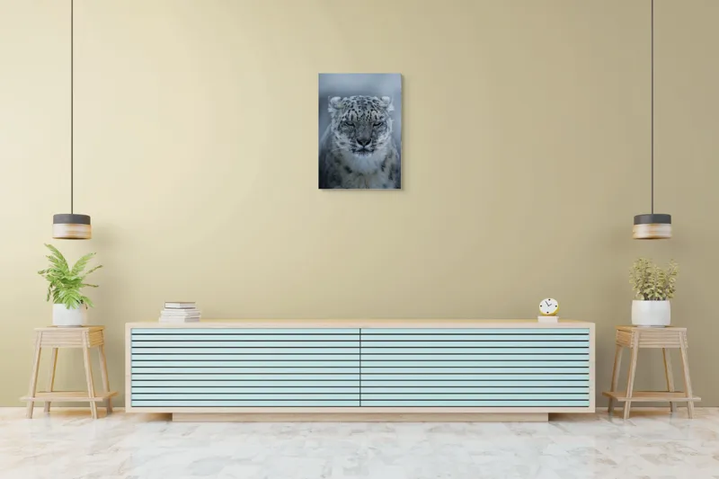 Tablou Canvas, Mister, Eleganță, Forță, Seninătate, Contrast, Natură, Regalistate, Frumusețe, Calm, Privire., 50 x 70 cm – poza 6