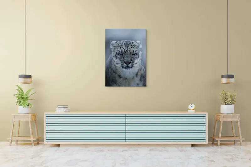Tablou Canvas, Mister, Eleganță, Forță, Seninătate, Contrast, Natură, Regalistate, Frumusețe, Calm, Privire., 70 x 100 cm – poza 5