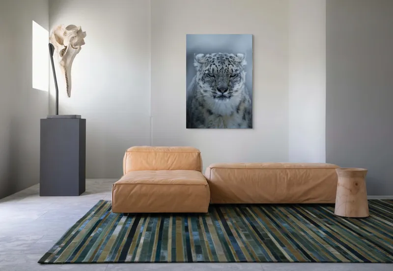 Tablou Canvas, Mister, Eleganță, Forță, Seninătate, Contrast, Natură, Regalistate, Frumusețe, Calm, Privire., 70 x 100 cm – poza 7