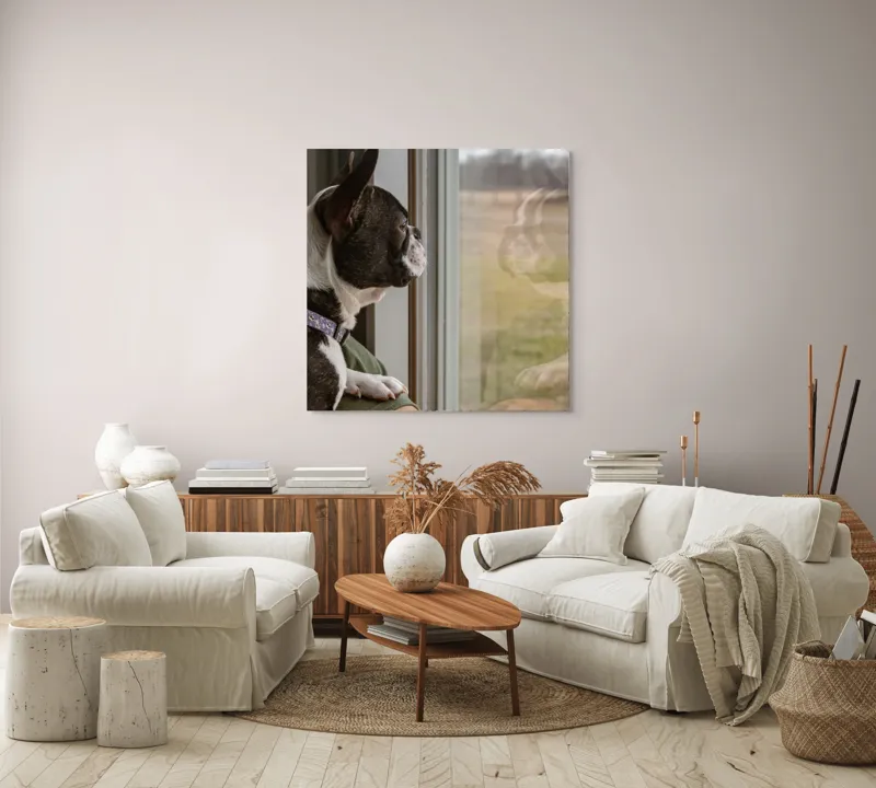 Tablou Canvas, "Câinele visează la lumea de afară", Câine, Reflecție, Fereastră, Peisaj, Contemplare, Liniște, Natură, 100 x 100 cm – poza 3