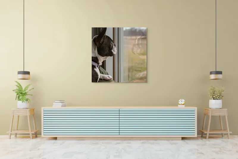 Tablou Canvas, "Câinele visează la lumea de afară", Câine, Reflecție, Fereastră, Peisaj, Contemplare, Liniște, Natură, 100 x 100 cm – poza 5