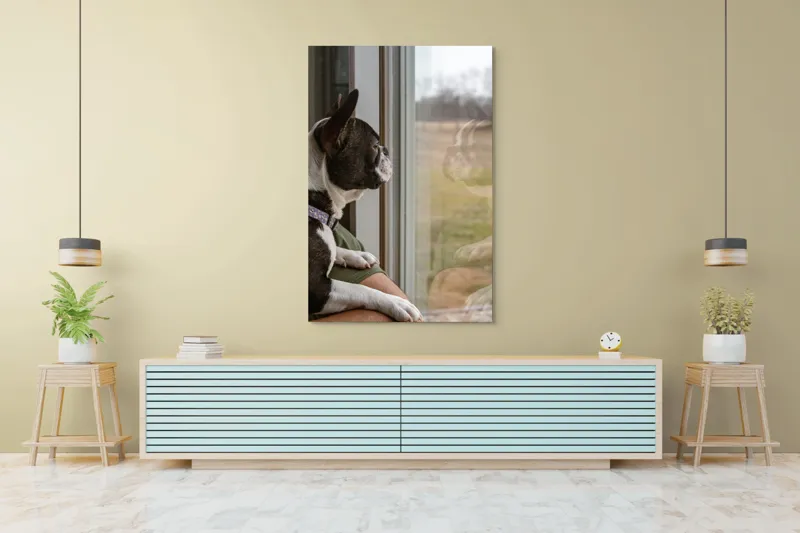 Tablou Canvas, "Câinele visează la lumea de afară", Câine, Reflecție, Fereastră, Peisaj, Contemplare, Liniște, Natură, 100 x 150 cm – poza 4