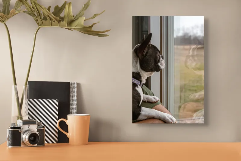 Tablou Canvas, "Câinele visează la lumea de afară", Câine, Reflecție, Fereastră, Peisaj, Contemplare, Liniște, Natură, 26 x 39 cm – poza 3