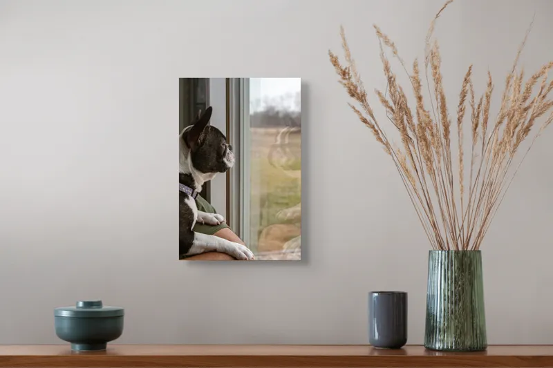 Tablou Canvas, "Câinele visează la lumea de afară", Câine, Reflecție, Fereastră, Peisaj, Contemplare, Liniște, Natură, 26 x 39 cm – poza 5