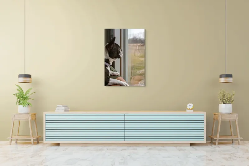 Tablou Canvas, "Câinele visează la lumea de afară", Câine, Reflecție, Fereastră, Peisaj, Contemplare, Liniște, Natură, 70 x 100 cm – poza 5