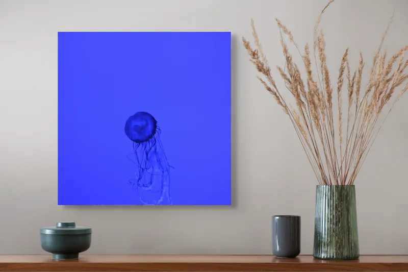 Tablou Canvas, "Meduza în oceanul albastru intens", Meduză, Albastru, Ocean, Lumină, Grație, Contur, Mister, Adâncime, 50 x 50 cm – poza 4