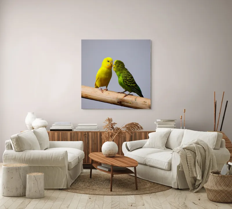 Tablou Canvas, "Două pernușe colorate pe crenguță", Colorit, Delicat, Prietenie, Blândețe, Natură, Armonie, Liniște, 100 x 100 cm – poza 3